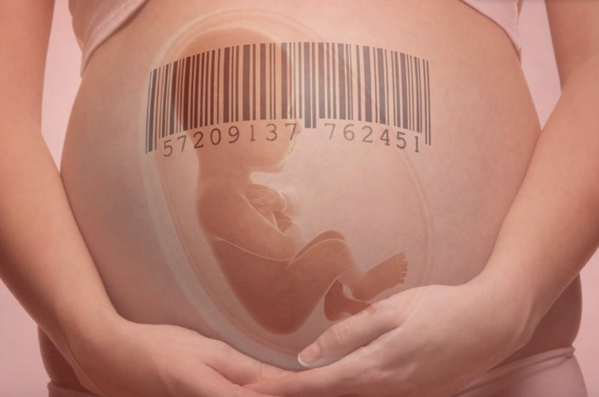 L’utero in affitto sbarca in Italia? 1